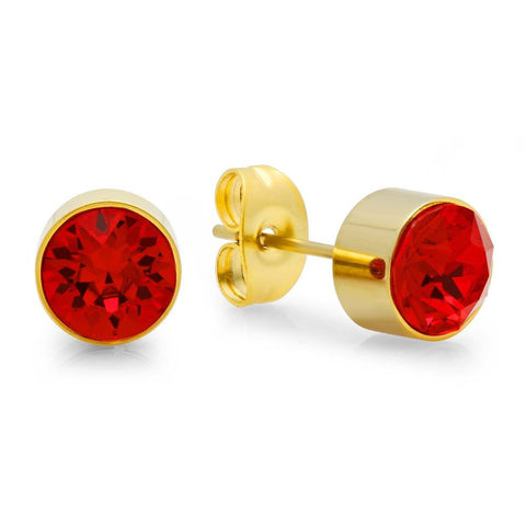 18k Gold Plated Stainless Steel Birthstone (January) Earring Studs