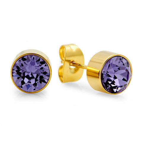 18k Gold Plated Stainless Steel Birthstone (February) Earring Studs